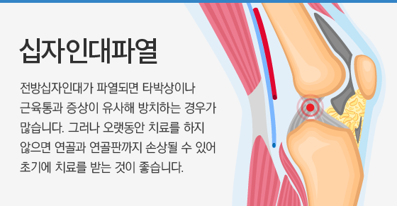 �����δ��Ŀ�