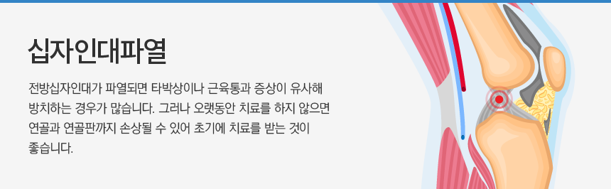 �����δ��Ŀ�