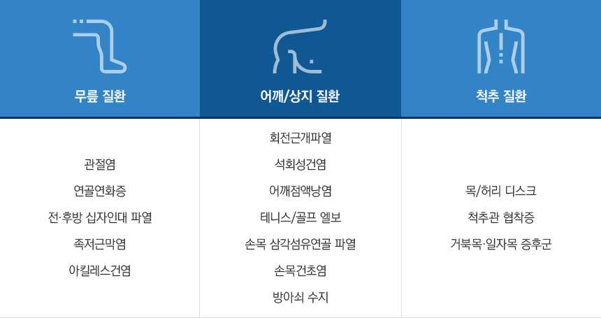 �����δ밭ȭ�ֻ� ġ�ᰡ ������ ��ȯ